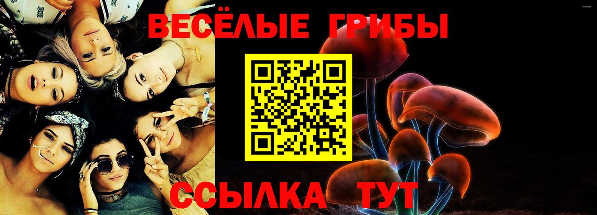 Псилоцибиновые грибы Psilocybe  Вход с VPN  Нефтекамск  Псилоцибиновые грибы мухоморы 